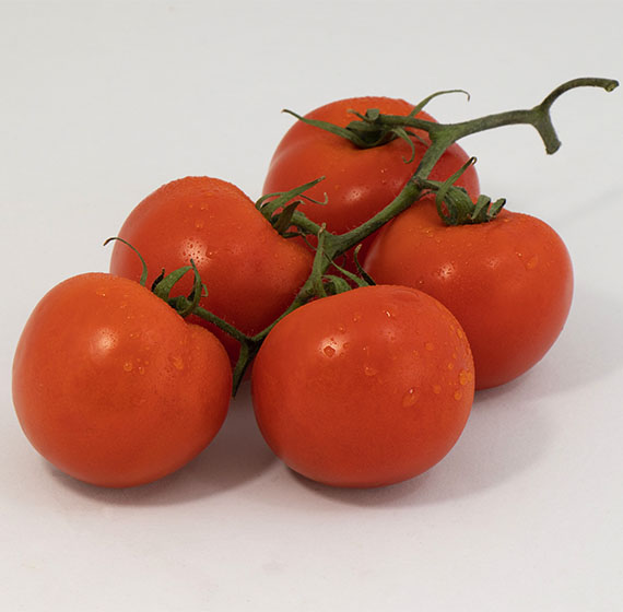 imagen tomate en rama