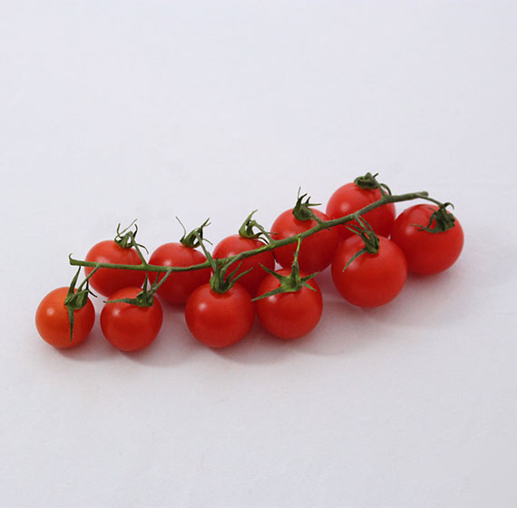 imagen tomate cherry