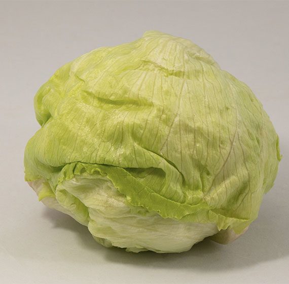 imagen lechuga iceberg