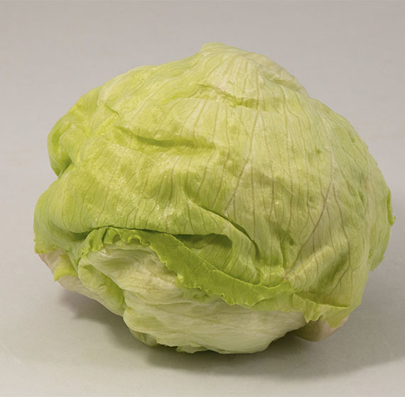 imagen lechuga iceberg