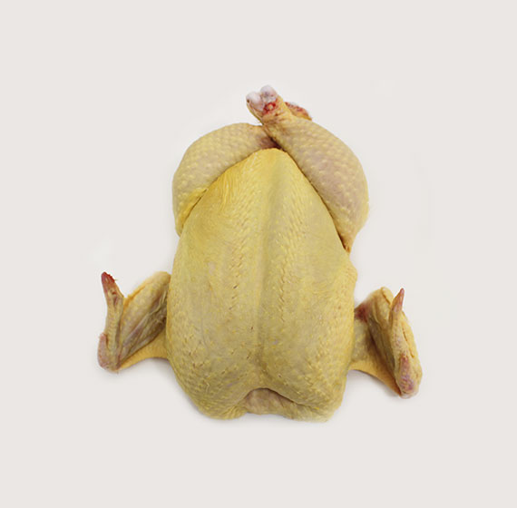 imagen pollo de corral gallego