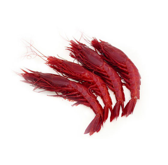 imagen carabinero gordo